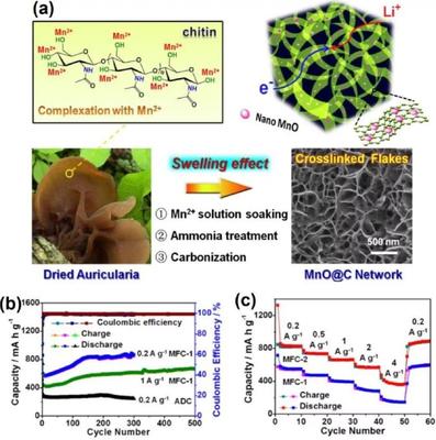 中科大俞漢青EES綜述:生物碳基材料在能量儲存與轉換中的應用