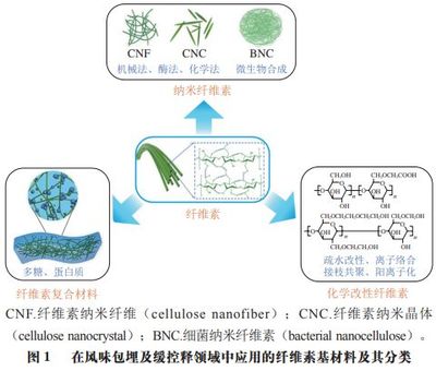 《食品科學》:上海應用技術大學田懷香教授等:纖維素基材料在風味物質包埋和控釋中的研究進展