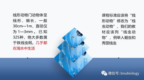 中學生物學課程目標由雙基走向核心素養(yǎng),在生物學課堂上我們該教給孩子們什么