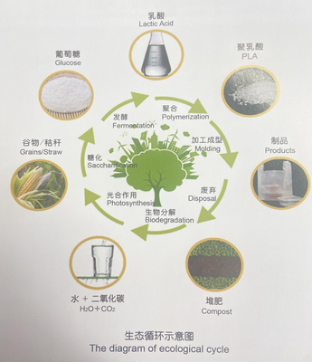 冬奧會餐盤 酸奶“親戚”引領生物基材料新風尚