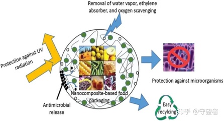 生物基活性食品包裝材料 技術研發(fā)與應用前景