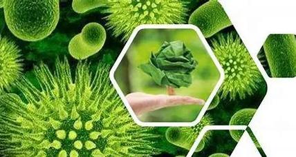 生物質材料 綠色未來的基石——生物化工產品技術研發(fā)